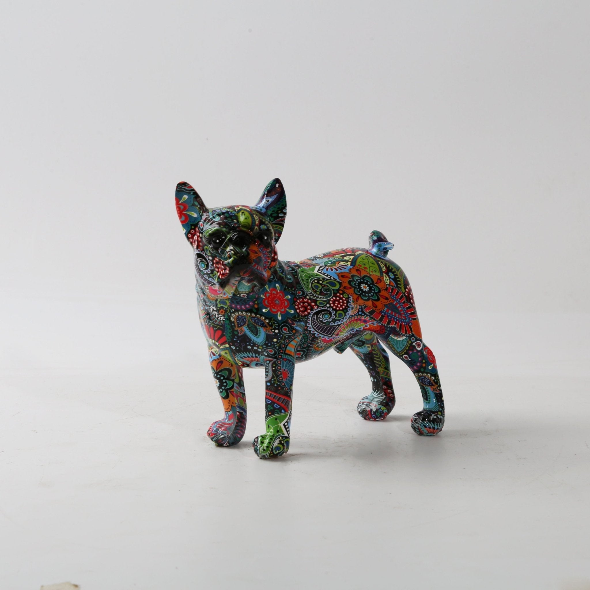 French Bulldog Amare - Magnito