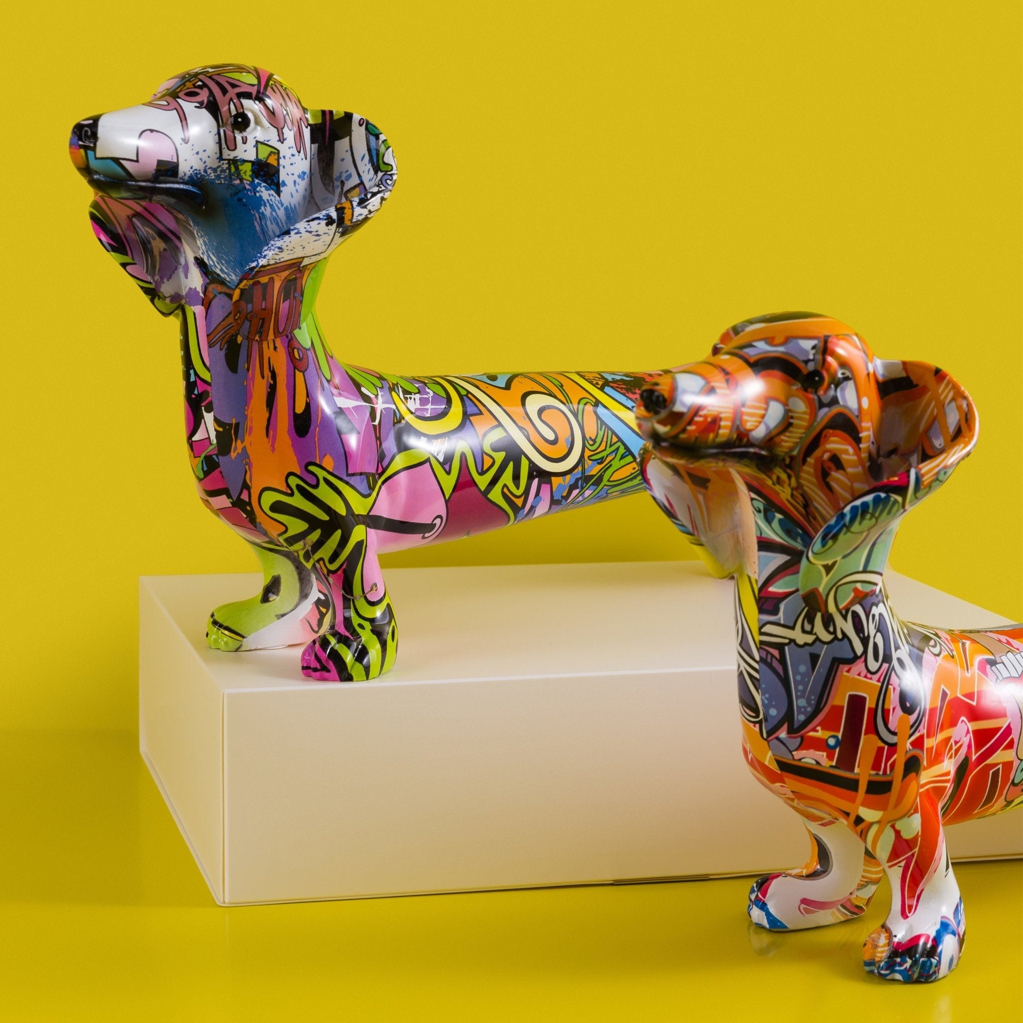 Long Dachshund Amare - Magnito